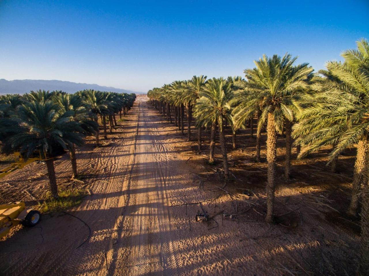 Lotan Desert Travel Hotel Nahal Ya'alon Exteriér fotografie